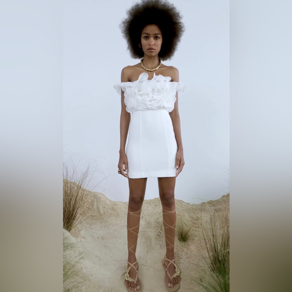 NWT Zara ruffle mini dress